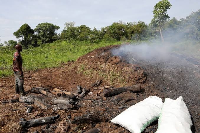 A charcoal producer stands beside a smoking kiln mound in northern Uganda